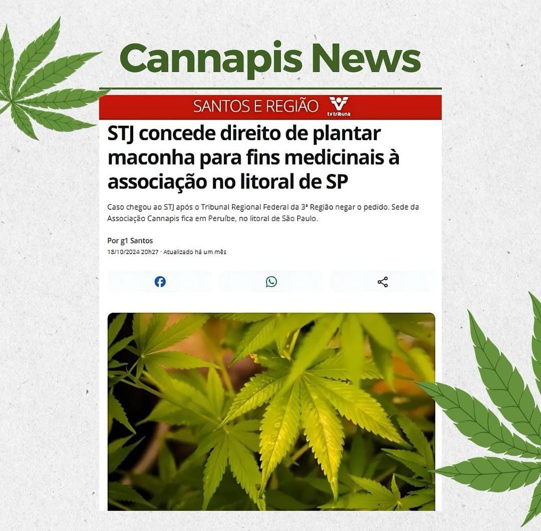Notícia sobre cultivo para fins medicinais